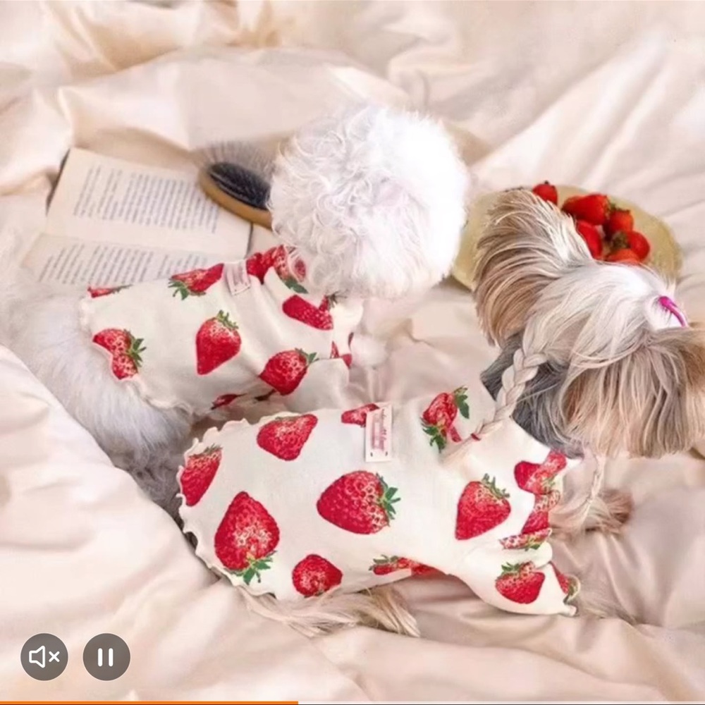 SOLD - STRAWBERRY PRINT SLEEVELESS PULLOVER DOG HI-LOW TOP - Picture 5 of 7
